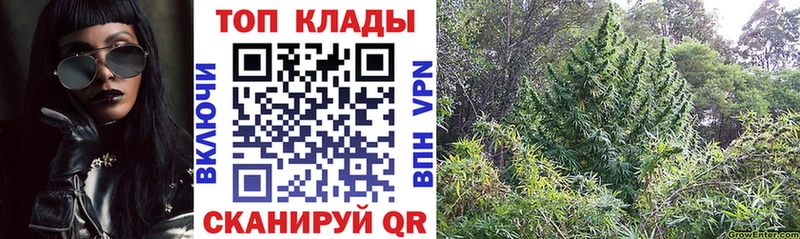 Купить наркотик аптеки Егорьевск Марихуана  МЕФ  АМФЕТАМИН  A PVP  ГАШИШ  Кокаин 