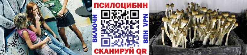 blacksprut зеркало Егорьевск Галлюциногенные грибы Magic Shrooms